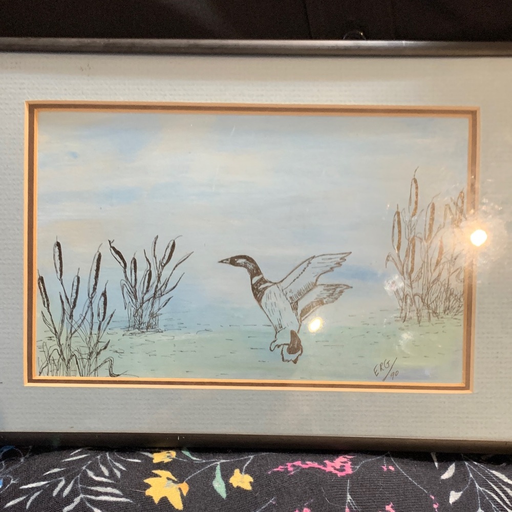 Framed Duck Illustration Art